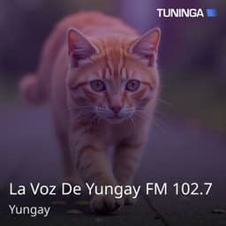 La Voz De Yungay FM 102.7