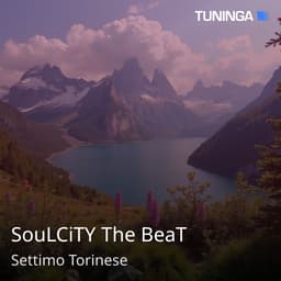 SouLCiTY The BeaT