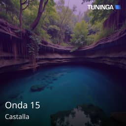 Onda 15
