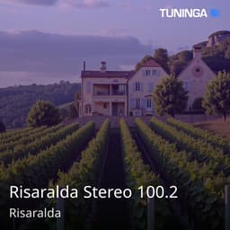 Risaralda Stereo 100.2