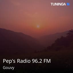 Pep's Radio 96.2 FM