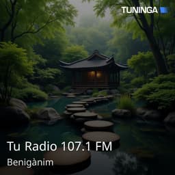 Tu Radio 107.1 FM