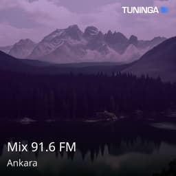 Mix 91.6 FM
