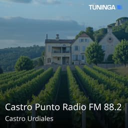 Castro Punto Radio FM 88.2