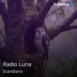 Radio Luna