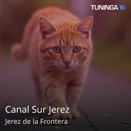 Canal Sur Jerez