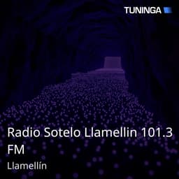 Radio Sotelo Llamellin 101.3 FM
