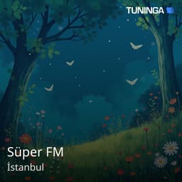 Süper FM