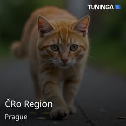 ČRo Region