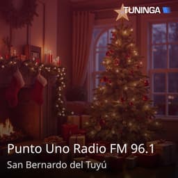 Punto Uno Radio FM 96.1
