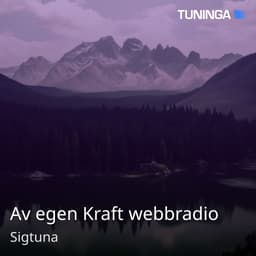 Av egen Kraft webbradio