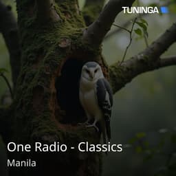 One Radio - Classics