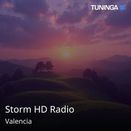 Storm HD Radio