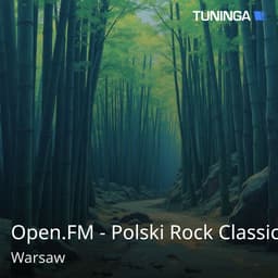 Open.FM - Polski Rock Classic