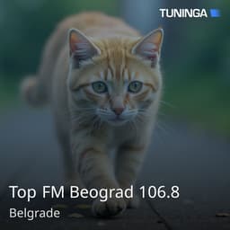 Top FM Beograd 106.8