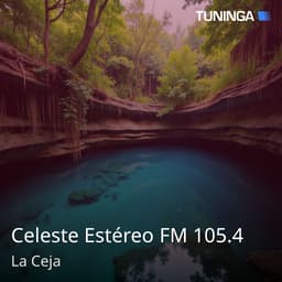 Celeste Estéreo FM 105.4