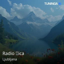 Radio Žica
