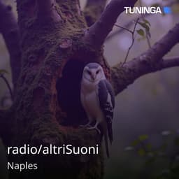 radio/altriSuoni