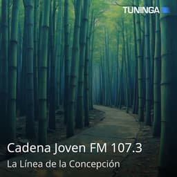 Cadena Joven FM 107.3