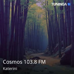 Cosmos 103.8 FM