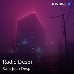 Ràdio Despí
