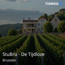 StuBru - De Tijdloze