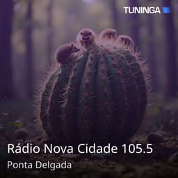 Rádio Nova Cidade 105.5