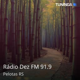 Rádio Dez FM 91.9