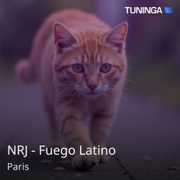 NRJ - Fuego Latino