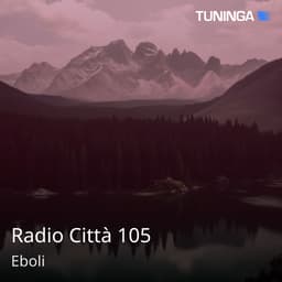 Radio Città 105