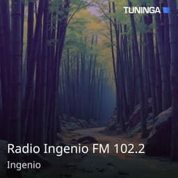 Radio Ingenio FM 102.2