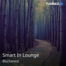 Smart In Lounge