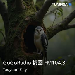 GoGoRadio 桃園 FM104.3