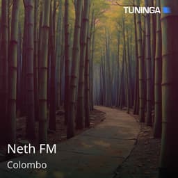 Neth FM