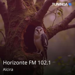 Horizonte FM 102.1
