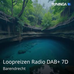 Loopreizen Radio DAB+ 7D
