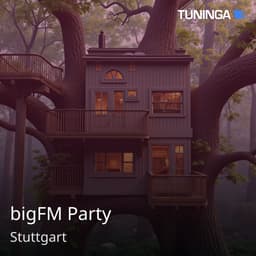 bigFM Party