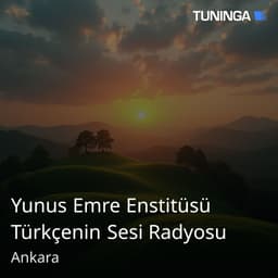 Yunus Emre Enstitüsü Türkçenin Sesi Radyosu