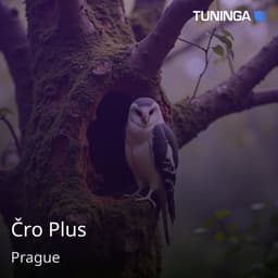 Čro Plus