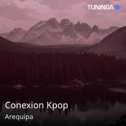 Conexion Kpop