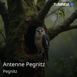 Antenne Pegnitz