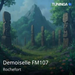 Demoiselle FM107