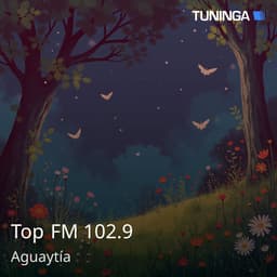 Top FM 102.9