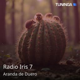 Radio Iris 7
