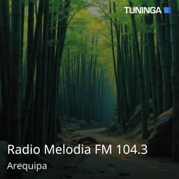 Radio Melodia FM 104.3