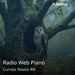 Radio Web Piano