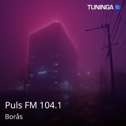 Puls FM 104.1