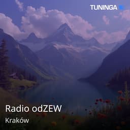 Radio odZEW
