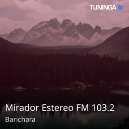 Mirador Estereo FM 103.2