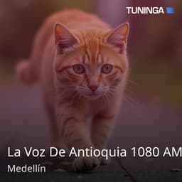 La Voz De Antioquia 1080 AM